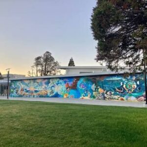 WhatsApp Image 2026-04-10 at 3.08.52 PM (1)